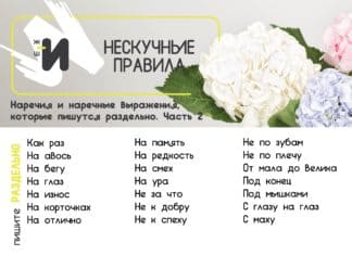 картинка правила русского языка про наречия